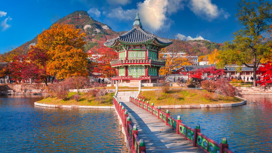 Hướng dẫn chi tiết khai báo thông tin kiểm dịch trước khi nhập cảnh Hàn Quốc