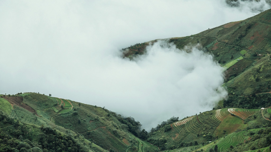 Săn Mây Trái Mùa Ở Tà Xùa – Hành Trình Trốn Nóng Đầy Mơ Mộng