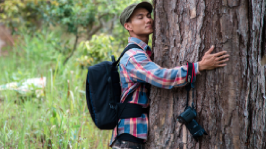 Bỏ phố về rừng làm tour chữa lành tâm hồn